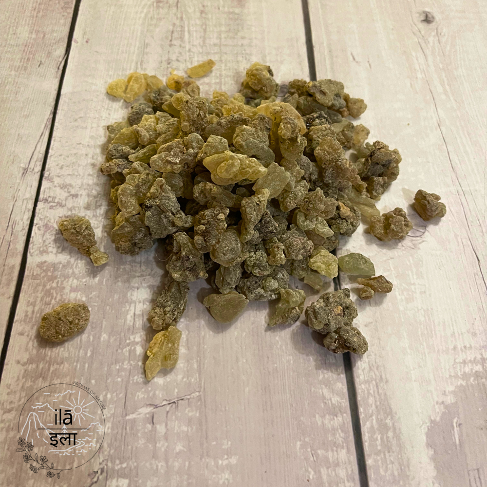 Pure Frankincense Resin - Kunduru / Olibanum - 250g - Image 3