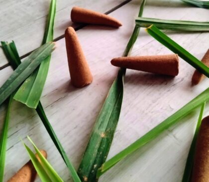 Swamul Lemon Grass Incense Cones - 100g